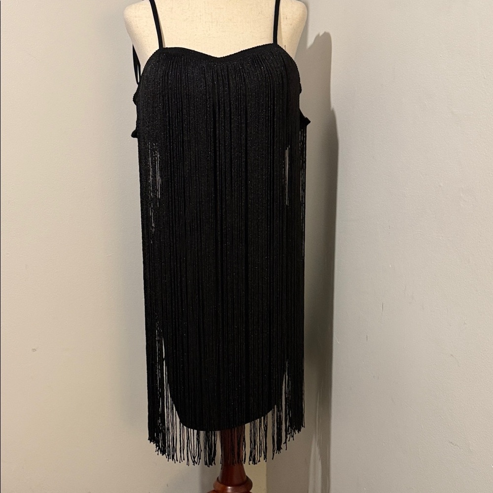 Elegant Black Fringe Dress